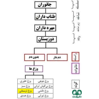 وزغ لرستانی