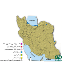 گونه کشیم گوشدار