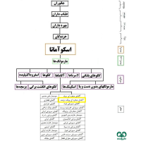 گونه آگامای صخره‌ای پولک درشت