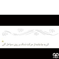 گونه شنگ