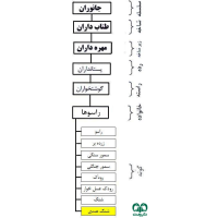 گونه شنگ هندی