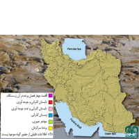 گونه فلامینگو کوچک