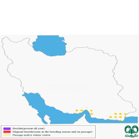 گونه نوک سرخ دریایی