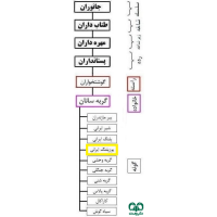 گونه یوزپلنگ آسیایی