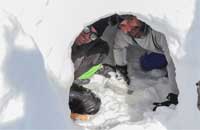 کارگاه تخصصی بقا در برف