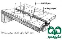 آماده سازی و نگهداری نمونه های جمع آوری شده حشرات